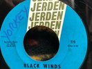 LITTLE JOHN & THE MONKS Black Winds 45 Jerden 775 NW GARAGE PSYCH original