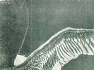 TURN LOOSE THE SWANS - MY DYING BRIDE