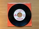 The Byrds Turn Turn Turn 1965 WLP Promo 45 NM / VG