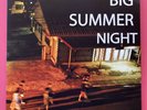 Say Sue Me ?– Big Summer Night. LP Orange Vinyl LTD Surf Garage Rock Indie Pop x