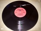 Vintage morbid december moon vinyl