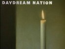 Sonic Youth Daydream Nation vinyl 2 LP NEW/SEALED