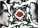 Blood Sugar Sex Magik [PA] by Red Hot Chili Peppers (Vinyl, Sep-2002, Warner Br…