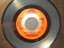 Lindsey Buckingham Stevie Nicks 45 Record 7