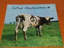 PINK FLOYD:ATOM HEART MOTHER.1LP.RARE EDITION COLOUR.HARVEST UK.MINT/MINT.