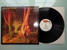 ECHO & THE BUNNYMEN-CROCODILES.SUPERB  1ST UK PRESS N/MINT VINYL LP RECORD 1980