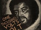 John Holt - One Thousand Volts Of Holt (LP, Album)