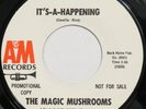 MAGIC MUSHROOMS It’s A Happening A&M 45 garage psych NM promo HEAR