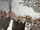 Gorilla Manor Local Natives Vinyl