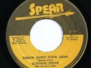 BURNING SPEAR Throw Down Your Arms 1977 BS 4 M- Roots Reggae Bob Marley Jamaica