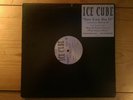 Ice Cube feat. Mack 10   You Can Do It   12” Promo   RARE OG Hip Hop   Priority