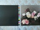 New Order Vinyl Power Corruption & Lies Album A2/B1 + Blue Monday 12