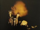 Pearl Jam - Riot Act 2 x LP - Vinyl Album - SEALED New Remastered Record