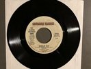 Record 45 Ramblin’ Man By The Allman Brothers Band