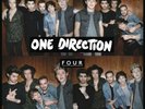 One Direction Four Vinyl LP Record Album In Hand Fast Ship