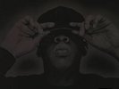The Black Album by Jay-Z (2XLP, 2003 Roc-A-Fella, US, B0001528-01, Sealed)