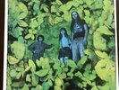 ELEVATOR THROUGH-VAGUE PREMONITION-1999 CANADA LP-SUB POP-PSYCH-GRUNGE-INDIE-EX