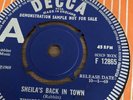 Tinkerbell's Fairydust - Sheila's Back In Town. 1969 Decca DEMO.