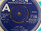 Tinkerbell's Fairydust - Lazy Day. 1967 Decca DEMO.  EX+ Condition