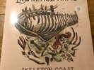 The Lawrence Arms Skeleton Coast Sunburst Vinyl **SEALED **
