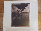 Pixies surfer rosa vinyl