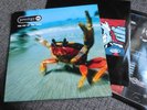 Prodigy   The Fat Of The Land   Original Double Vinyl 1997 XLLP121 Firestarter