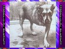 Alice In Chains ?– Alice In Chains - Green Vinyl