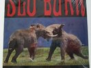 Slo Burn ?– Amusing The Amazing 10