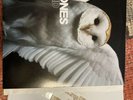 Deftones Diamond Eyes Limited Edition White Vinyl