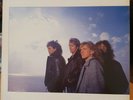 STRANGEWAYS Native Sons 1987 LP LOVERBOY FOREIGNER NIGHT RANGER JOURNEY