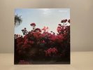 LANY - Make Out (2015, Polydor, 4774626)  Vinyl, 12