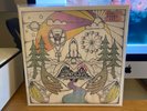 Badly Drawn Boy ?Banana Skin Shoes One Last Fruit ?OLF005LP Yellow LP Signed 409