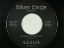 Hard Rock Funk 45 - Azalia - Watcha Gonna Do - Silver Circle - VG++ mp3 obscure