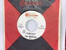 ?Hear? NM- The Brogues “Someday” Challenge 45 Promo Killer Garage Psych Mp3