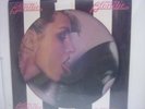 Blondie parallel lines lp picture disc usa issue on chrysalis
