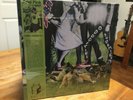 ARIEL PINK: Odditties Sodomies Vol. 1, Mexican Summer, 2lp, New,  LP