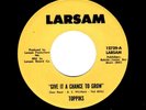 SWEET/NORTHERN SOUL-TOPPIKS-GIVE IT A CHANCE TO GROW/SURRENDER-LARSAM 127399