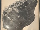 The Undertones ?– The Undertones Vinyl LP