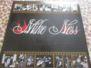 MIKE  NESS   SOCIAL DISTORTION