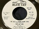 The Ad Libs - I'm Just a Down Home Girl/Johnny My Boy 45 Blue Cat Promo HEAR