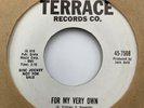 Ronnie Cates 45 RPM Record Long Time For My Very Own Terrace Records Promo VG+