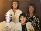 The Tremeloes - Silence Is Golden - 1985 Vinyl Album Compilation Meteor