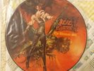 OZZY OSBOURNE - The Ultimate Sin. 1986 UK LP Picture Disc. MINT Condition