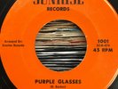 RARE LOST LAREDO TX GARAGE 45 - BLUE - PURPLE GLASSES - SUNRISE RECORDS - HEAR