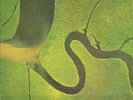 Dead Can Dance – The Serpent's Egg - Vinyl 12