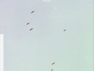 Lycoriscoris Flight (Vinyl) 12
