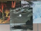 ECHO & THE BUNNYMEN vinyl - Crocodiles, Porcupine PLUS Killing Moon 12