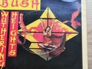 Kate Bush 7