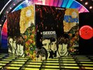 1967 Orig THE SEEDS   FUTURE Psych Garage FLOWER POWER = ACID PSYCHEDELIC LP