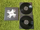 Kasabian Velociraptor 10